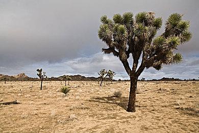 《史莱姆牧场2》即将发售 前作月底离开XGP